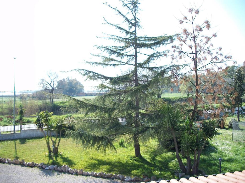 Agriturismo Primerio Farm stay *